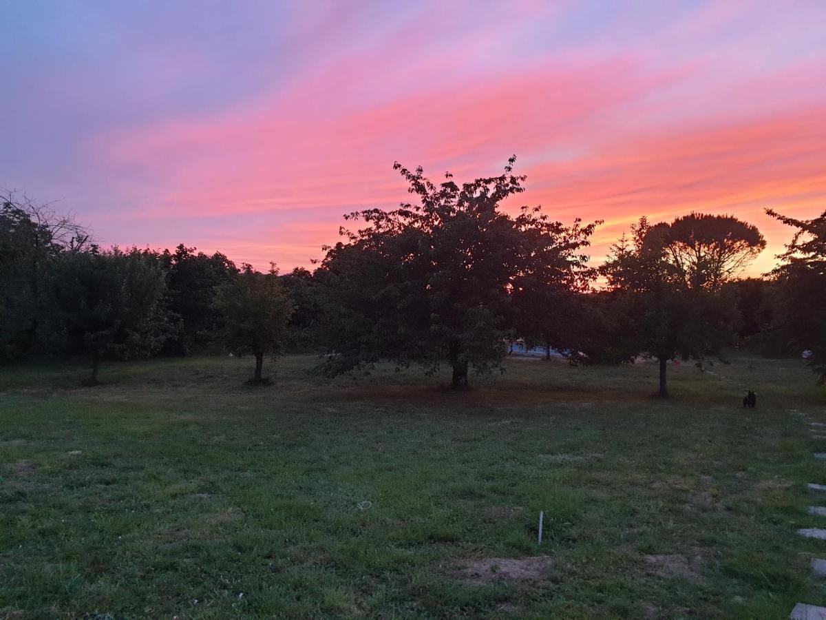 Les Etoiles De Morphee Villa Auriac-sur-Vendinelle ภายนอก รูปภาพ